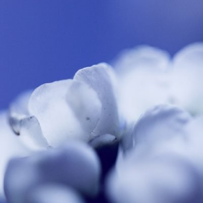 Comprendre le rôle du CRO, Chief Revenue Officer